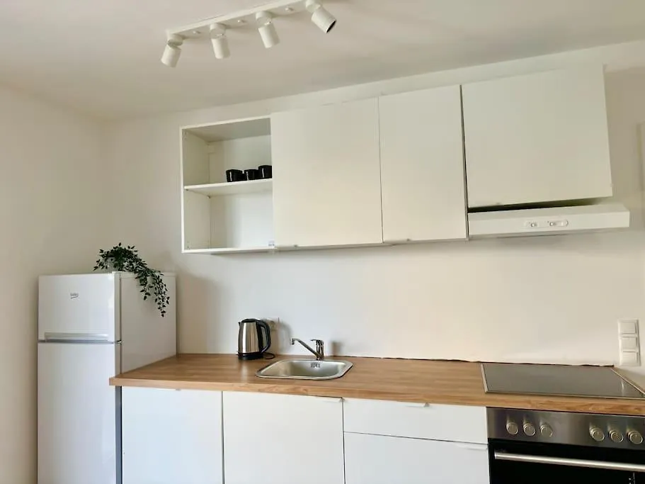 Modern Danube Apartment With Balcony & Free Parking Vienna
